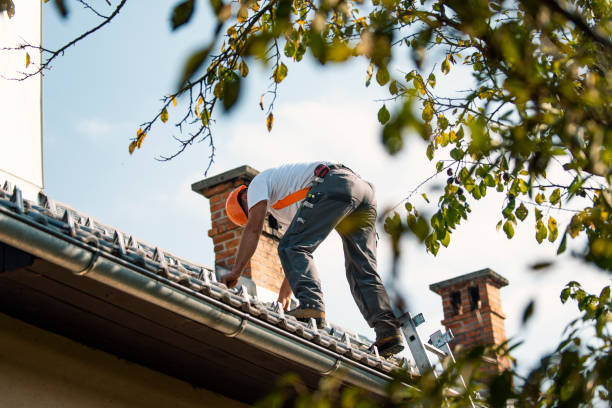 Gutter Installation and Roofing in Monroe, WI