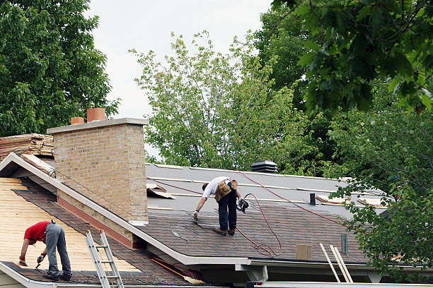 Best Metal Roofing Contractor  in Monroe, WI